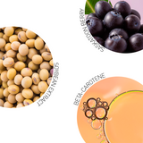 crème solaire anti-âge aux herbes 50+Spf 50 ml