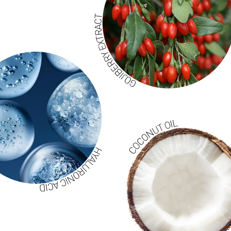 Celenes By Sweden Nordıc Goji Berry Stick Lip Balm