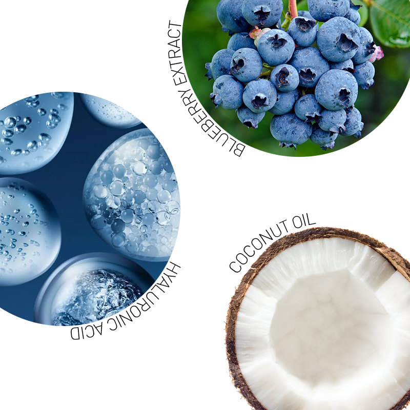 Celenes By Sweden Nordıc Blueberry Stick Lip Balm